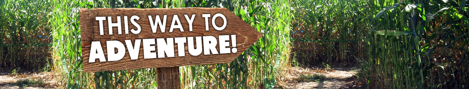 Outdoor adventure at a Maize Quest farm and corn maze near you